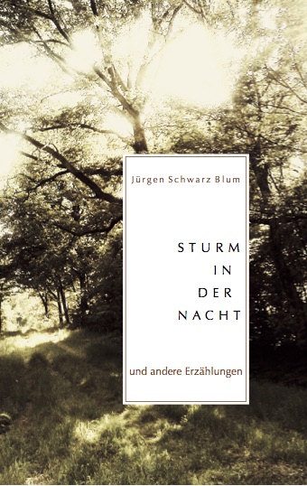 Cover von Sturm in der Nacht und andere Erzählungen